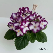 ЛЕ-Лунная Радуга (Лебецкая)  